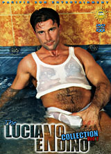 The Luciano Endino Collection