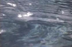 Not in My Ass.. Please...