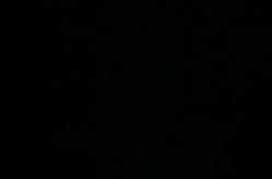 Hey Pussy, You're the Best!